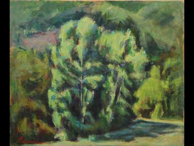 Gruppo di alberi sul Senio (pomeriggio)