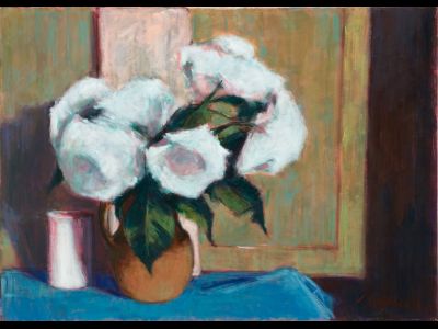 Ortensie bianche - Vol. 48