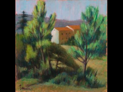 Alberi al bivio Lozzole/Quadalto