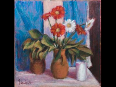 Gerbere rosse e bianche