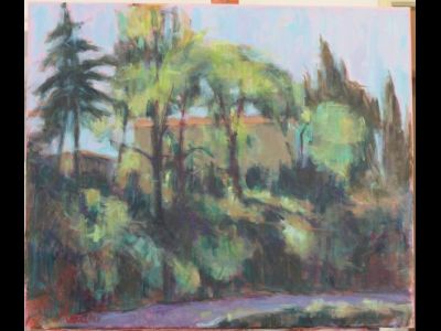 Dal passo Carnevale (Palazzuolo sul Senio)